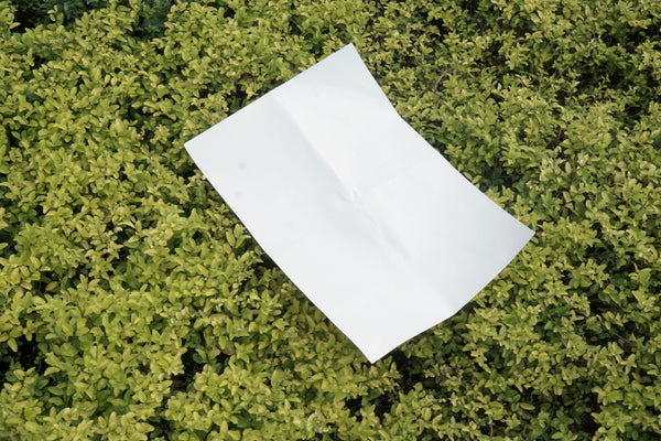 Bisphenol in der Papierherstellung - Einflüsse auf die Umwelt