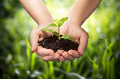 ROLLENLAND die Umwelt schonen
